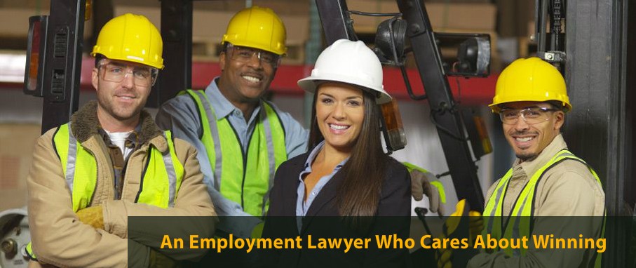 Winning workplace lawyers